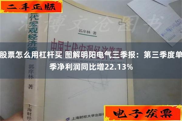 股票怎么用杠杆买 图解明阳电气三季报：第三季度单季净利润同比增22.13%