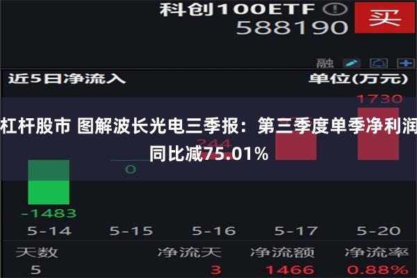 杠杆股市 图解波长光电三季报：第三季度单季净利润同比减75.01%