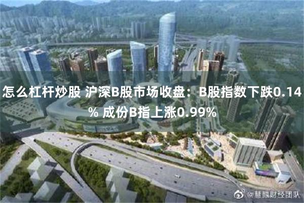 怎么杠杆炒股 沪深B股市场收盘：B股指数下跌0.14% 成份B指上涨0.99%