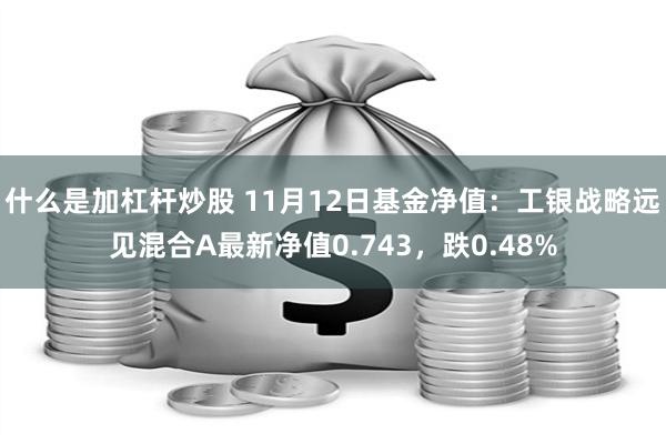 什么是加杠杆炒股 11月12日基金净值：工银战略远见混合A最新净值0.743，跌0.48%