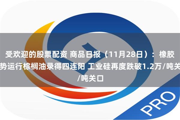 受欢迎的股票配资 商品日报（11月28日）：橡胶强势运行棕榈油录得四连阳 工业硅再度跌破1.2万/吨关口