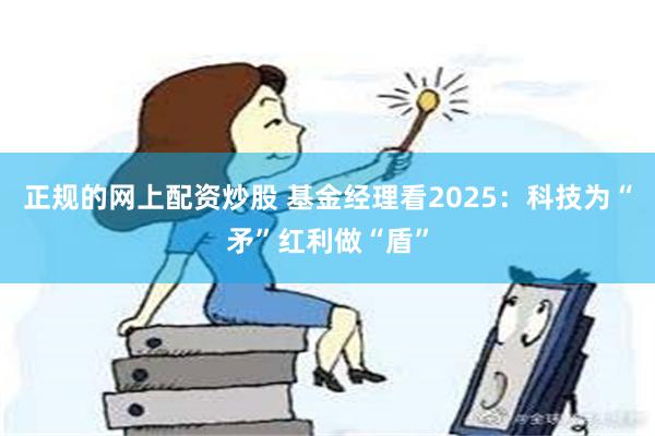 正规的网上配资炒股 基金经理看2025：科技为“矛”红利做“盾”