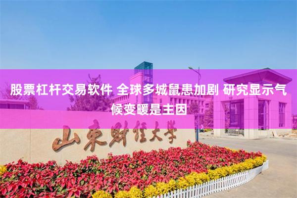 股票杠杆交易软件 全球多城鼠患加剧 研究显示气候变暖是主因